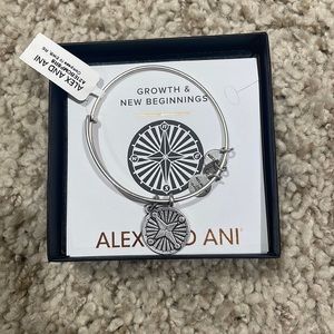 Alex and Ani Bracelet